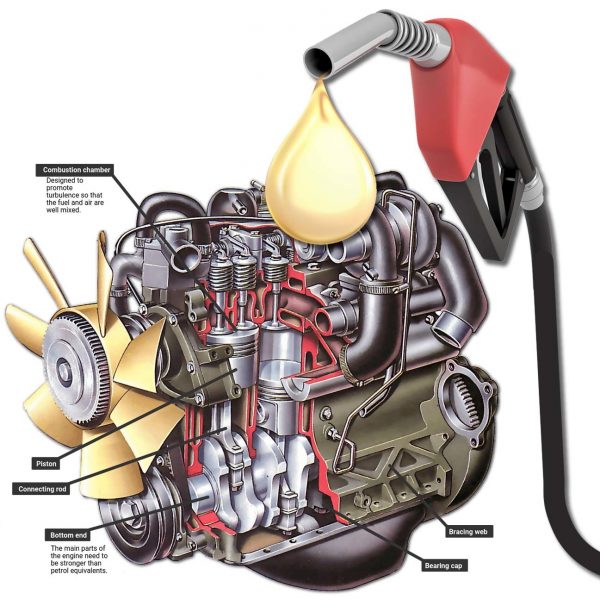 Igntion engine